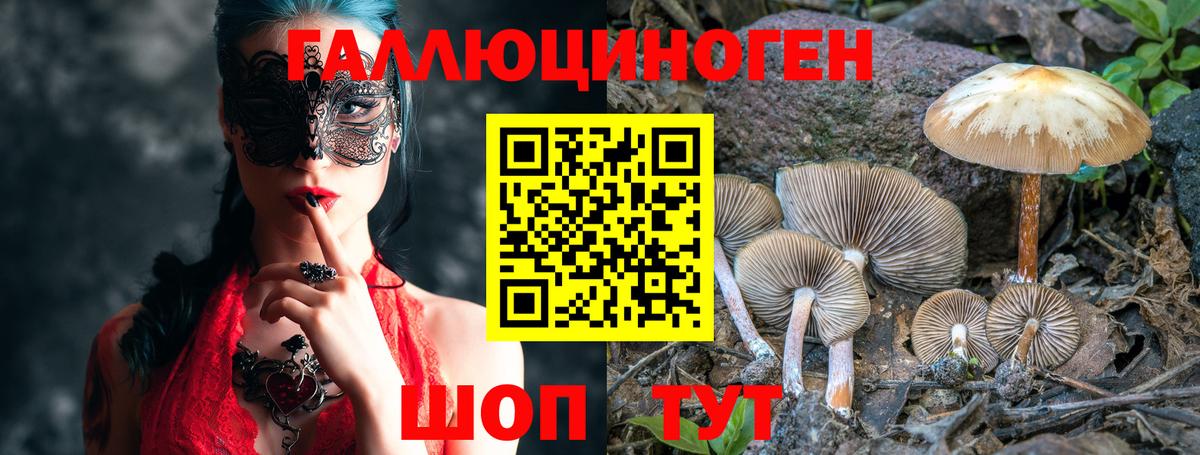 Галлюциногенные грибы GOLDEN TEACHER Верхняя Салда